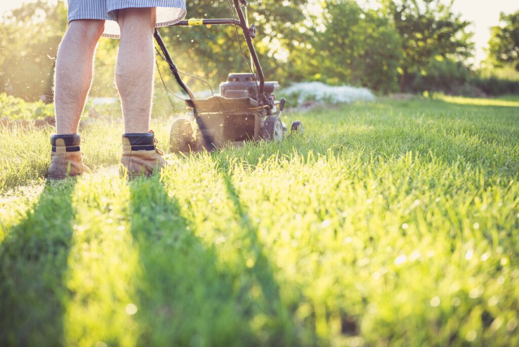 Gardener mowing a lawn with a push mower, wearing sturdy boots and shorts on a sunny afternoon.